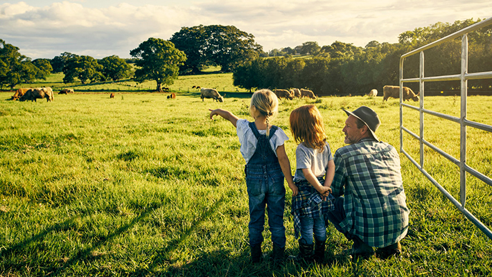 標(biāo)準(zhǔn)家庭農(nóng)場方案